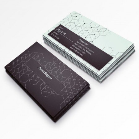 Bilgisayar teknolojik kartvizitleri-31