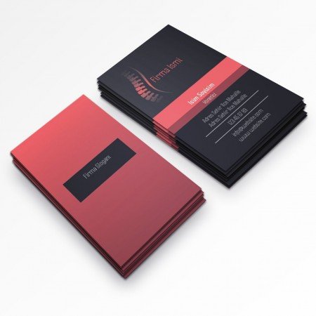 sağlık doktor hastane dişçi fizyoterapist-113