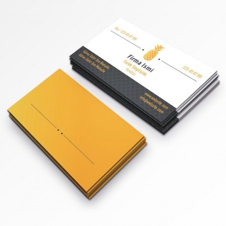 Kurumsal Kartvizit-241