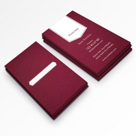 Kurumsal Kartvizit-350