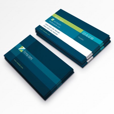 Kurumsal Kartvizit-389 Kurumsal Kartvizit-389