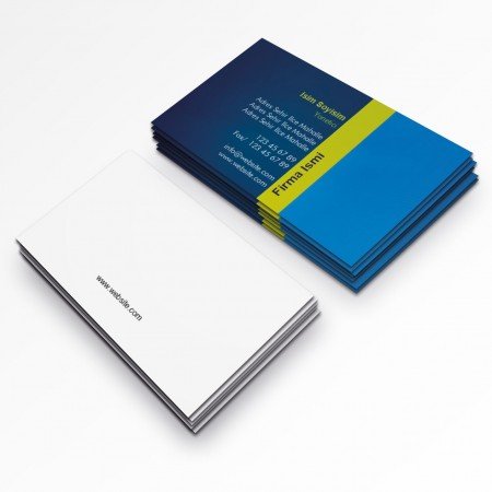 Kurumsal Kartvizit-446