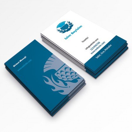 Gezi Tur Acente Kartvizitleri-50