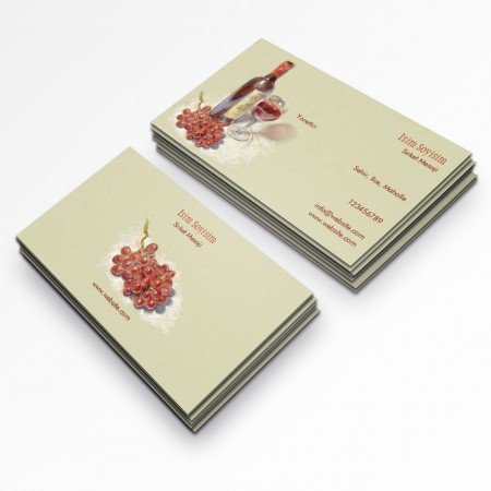 Gezi Tur Acente Kartvizitleri-160