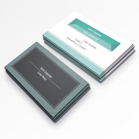 Pazarlama reklam kartvizit-96